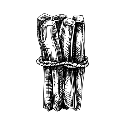 Aromatic sticks sketch. Witchcraft vector illustration. Vintage Halloween design element. Hand-drawn alchemy, apothecary, esoteric symbols. NOT AI generated